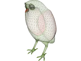 Owl 3D Model preview