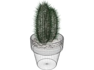 Cactus 3D Model preview