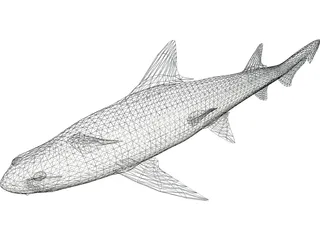 Leopard Shark 3D Model preview