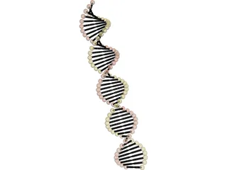 DNA Model 3D Model preview