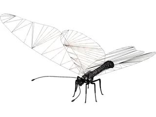 Butterfly 3D Model preview