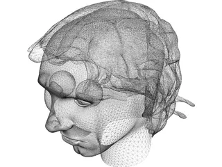 Head Messi 3D Model preview