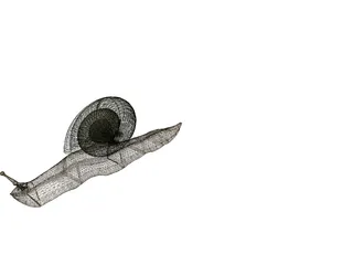 Snail 3D Model preview