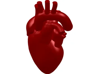 Heart Human 3D Model preview