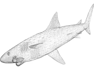 Shark Great White 3D Model preview