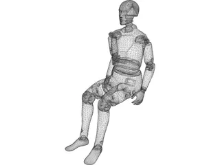 Crash Dummy 3D Model preview