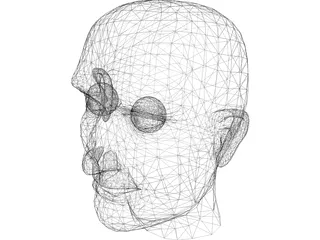 Head Male 3D Model preview