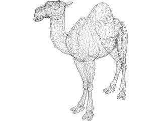 Camel 3D Model preview