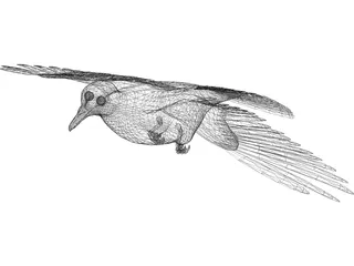 Dove 3D Model preview