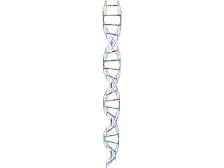 DNA Strand 3D Model preview