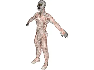 Muscle Man 3D Model preview