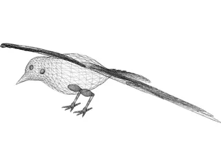 Dove Rock Pigeon 3D Model preview