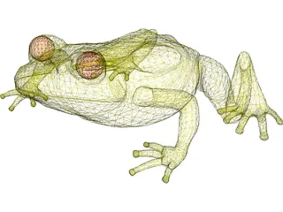 Frog 3D Model preview