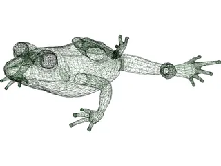 Frog 3D Model preview
