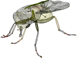Fly 3D Model preview