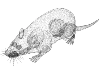 Rat 3D Model preview