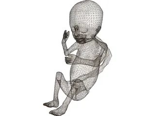 Fetus 3D Model preview