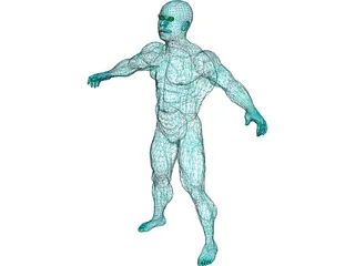 Muscle Man 3D Model preview