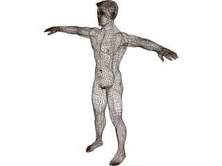 Man 3D Model preview