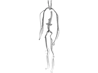 Circulatory System 3D Model preview