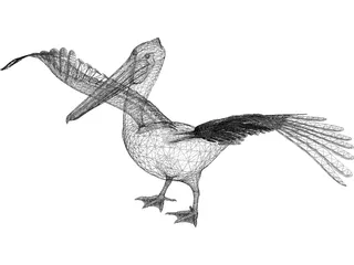 Pelican 3D Model preview
