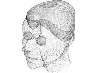 Head 3D Model preview