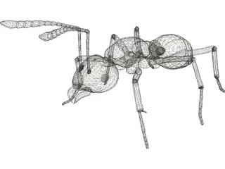 Ant 3D Model preview