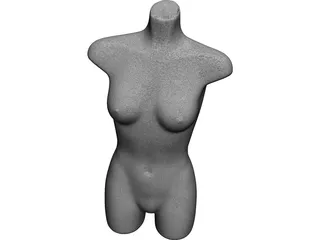 Mannequin Female 3D Model preview
