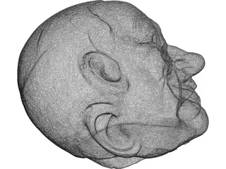 testa di Berlusconi Head 3D Model preview