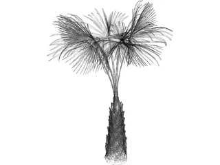 Sabal Palmetto Tree 3D Model preview