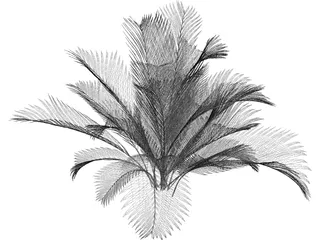 Chamaedorea Cataractum 3D Model preview