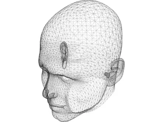 Man Head 3D Model preview
