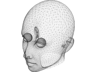 Woman Head 3D Model preview