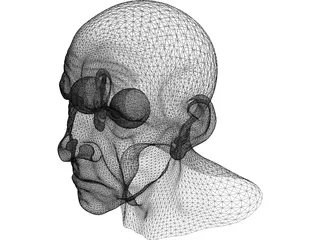 Man Head Old 3D Model preview