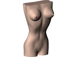 Women Body 3D Model preview