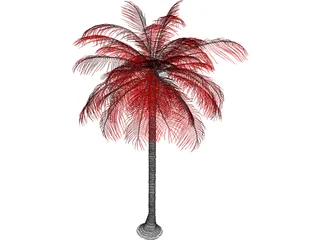 Palm Tree 3D Model preview