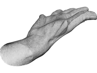 Open Hand 3D Model preview