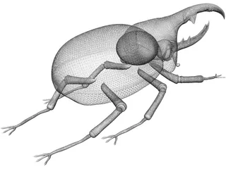 Hercules Beetle 3D Model preview