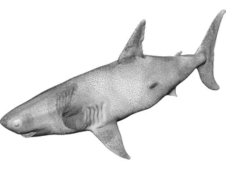 White Shark 3D Model preview
