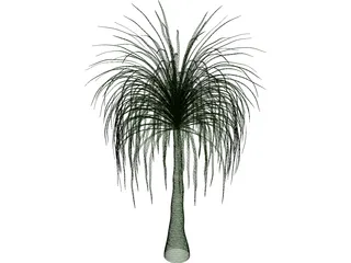Palmera 3D Model preview