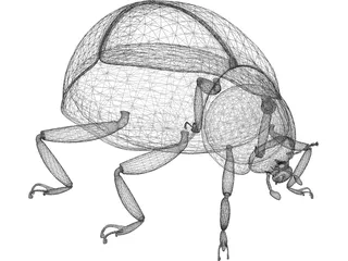 Ladybug 3D Model preview