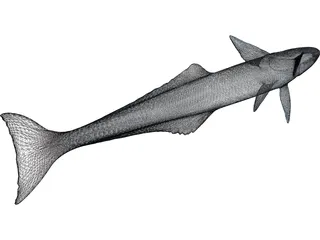 Remora 3D Model preview