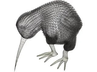 Kiwi Bird 3D Model preview