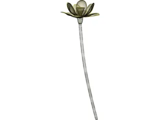 Lotus Flower (Nelumbo Lutea) 3D Model preview