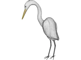 Great Egret (Ardea Alba) 3D Model preview