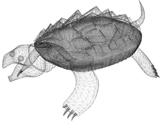 Alligator Turtle (Macrochelys Temminckii) 3D Model preview