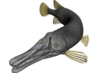 Alligator Gar (Atractosteus Spatula) 3D Model preview