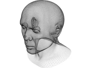 Samuel Head 3D Model preview