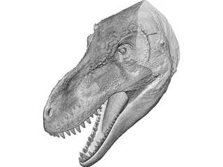 Tyrannosaurus Rex Head 3D Model preview
