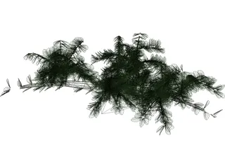 Tree 3D Model preview
